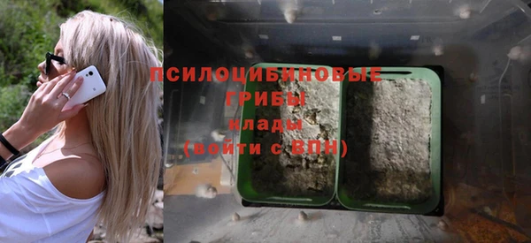 мяу мяу мука Надым