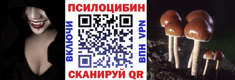 Псилоцибиновые грибы Cubensis  Купить закладки  Камышин 